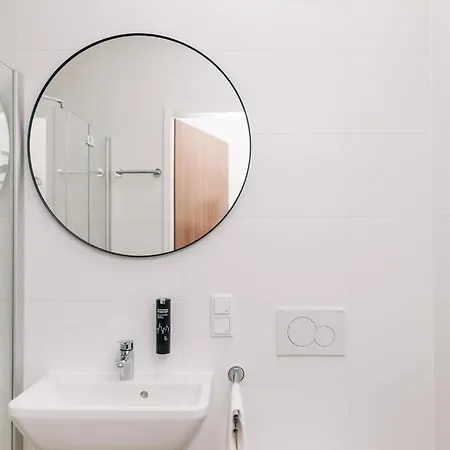 Homaris Frankfurt 美因河畔法兰克福