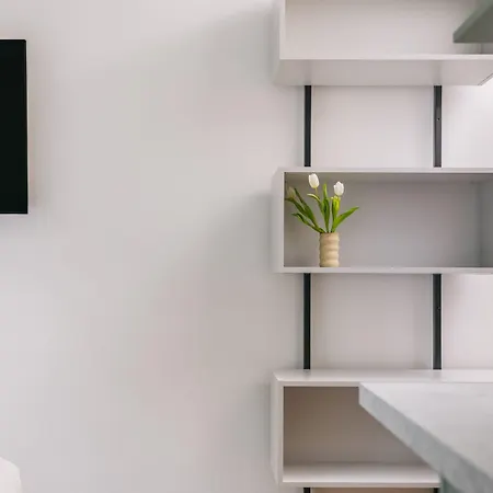 Homaris Frankfurt 美因河畔法兰克福