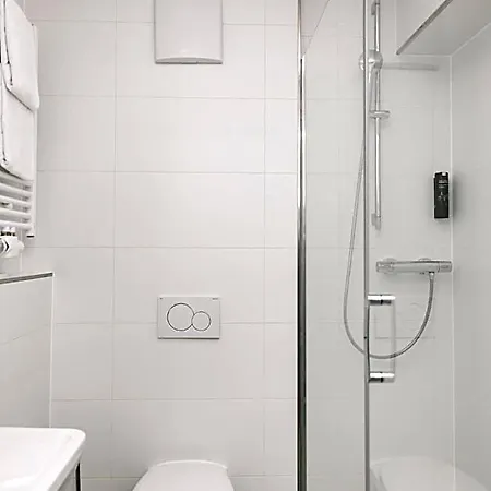 Homaris Frankfurt