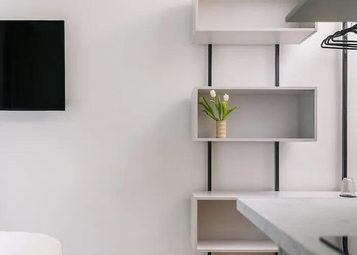 Homaris Frankfurt フランクフルト