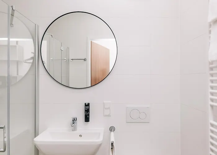 Homaris Frankfurt Франкфурт-на-Майне