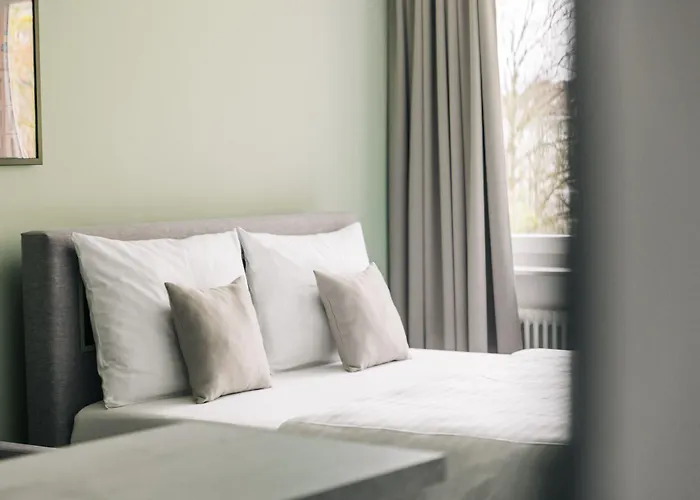 Homaris Frankfurt Frankfurt am Main